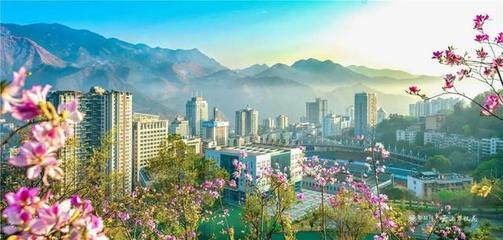 又获一块“金字招牌”!攀枝花入选2019年中国康养产业可持续发展能力20强地级市