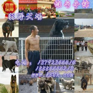 攀枝花肉狗养殖场肉狗苗崽价格_农副产品_世界工厂网