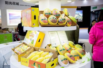 聚焦“康养+农业”,攀枝花爆红农博会