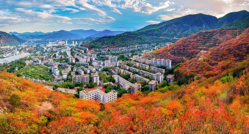 春游四川赏花精品线路推介 攀枝花 阳光凤凰花蓝花楹 之旅