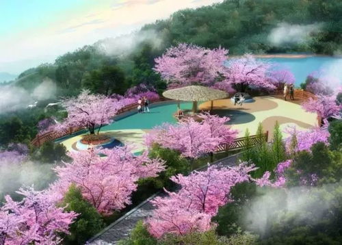 梦想着有一面花墙 花廊 来攀枝花吧,款款都让你沉醉