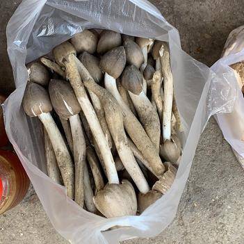 农产品批发供应商冯燕 - 惠农网电脑版