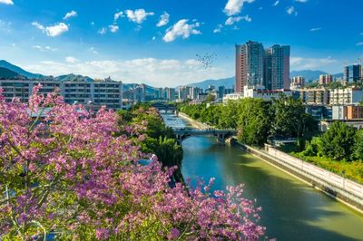 攀枝花市仁和区人民政府