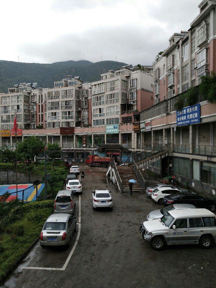 四川省攀枝花市西区苏铁中路靠近攀枝花市西区人民政府政务服.