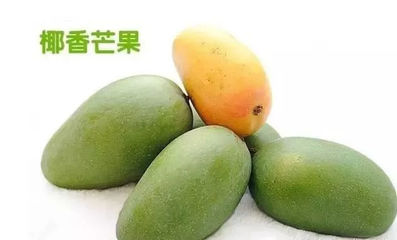 攀枝花芒果网:攀枝花本地芒果品种介绍