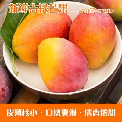 活动产品蕾切尔攀枝花 新鲜采摘吉绿芒果9斤装整箱买2赠1(赠品5斤装)