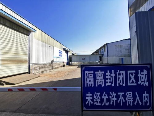每车必检 人物同防 攀枝花市进口冷链食品集中监管仓 上新 升级