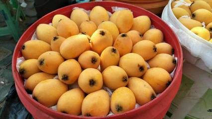 宁波居食坊商户│来四川攀枝花市,吃过5道算我输!