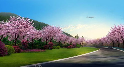 震撼 攀枝花这些地方即将大变样,漂亮得你认不出来