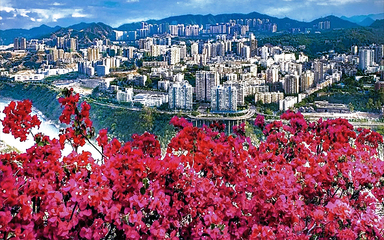 攀枝花 - 东 区 ( 景区 )