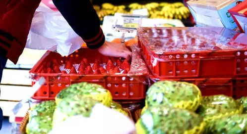 攀枝花水果 春节送礼新风尚，外地市场受热捧