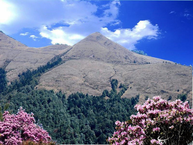 攀枝花8844户外 露营大姚百草岭帽台山AA召集活动（10月25-26日）