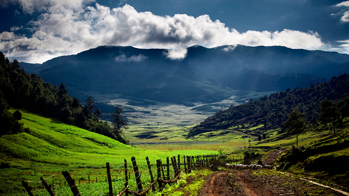 攀枝花 从钢铁重镇到国家认证的“天堂”