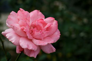 行摄攀枝花学院 钢铁之城中的学术绿洲