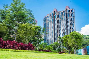 购房正当时 全员营销月火热开启，攀枝花置业享好礼